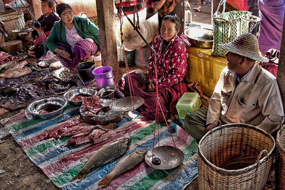 Imagen 50 de la galería de Myanmar